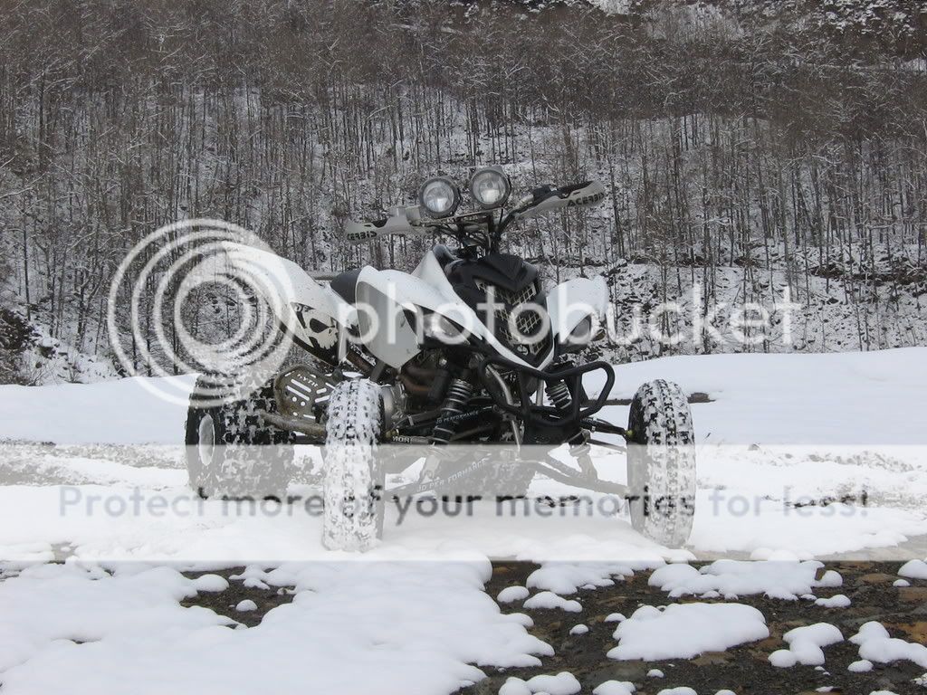 JD AArms Raptor Forum