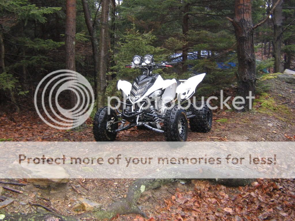 JD AArms Raptor Forum