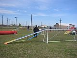 FunMatchPhotos2009028.jpg image by gmdtc