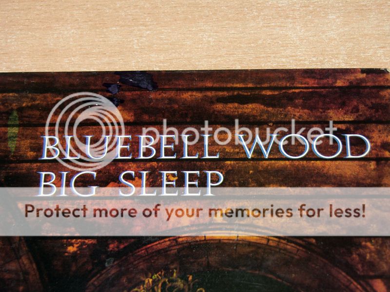 Big Sleep Bluebell Wood Big Sleep Bluebell Wood