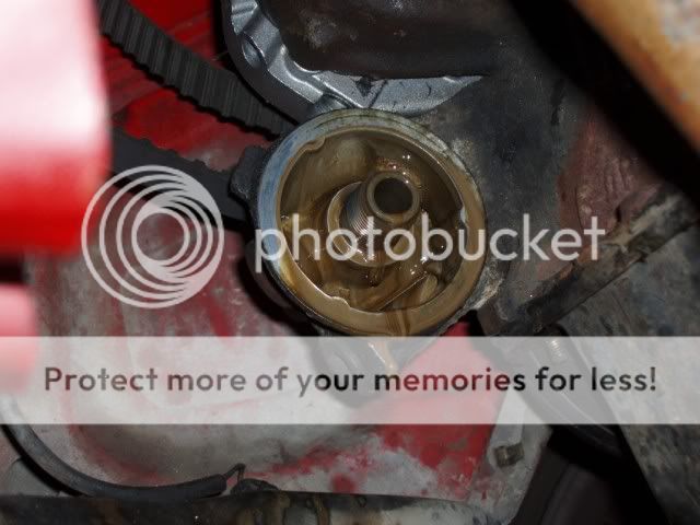 P1010173Resoluododesktop.jpg