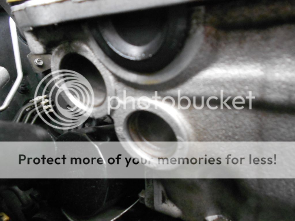 Oil Pressure/ Freeze Plug Leak Infiniti G20 Nissan Primera Forum