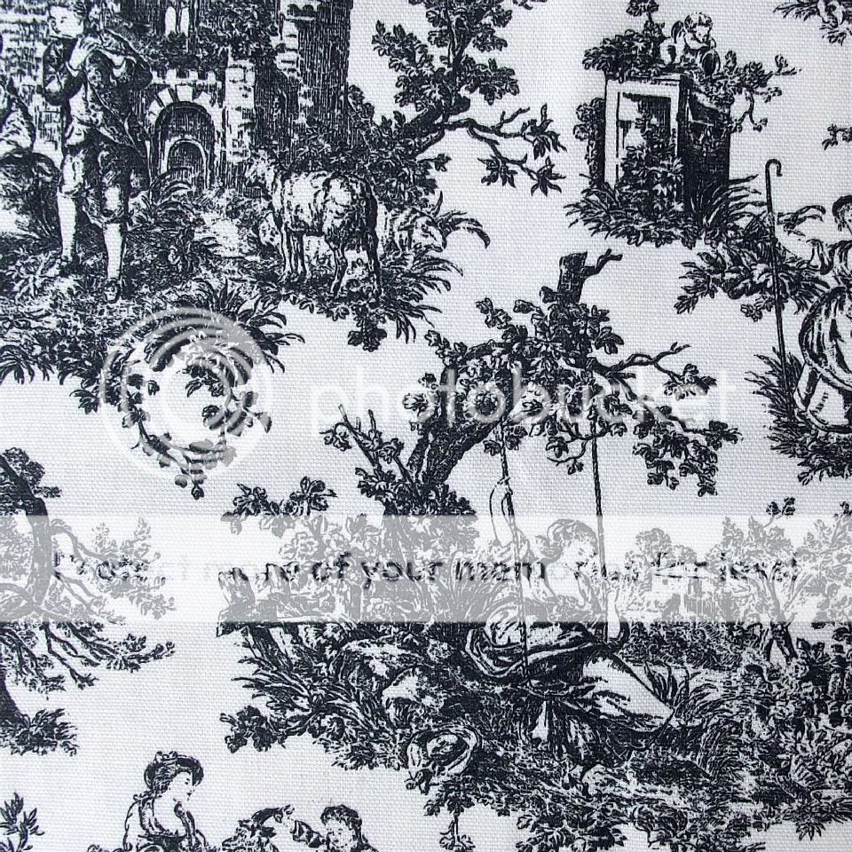 Black And White Toile Photo by charlottesattic Photobucket