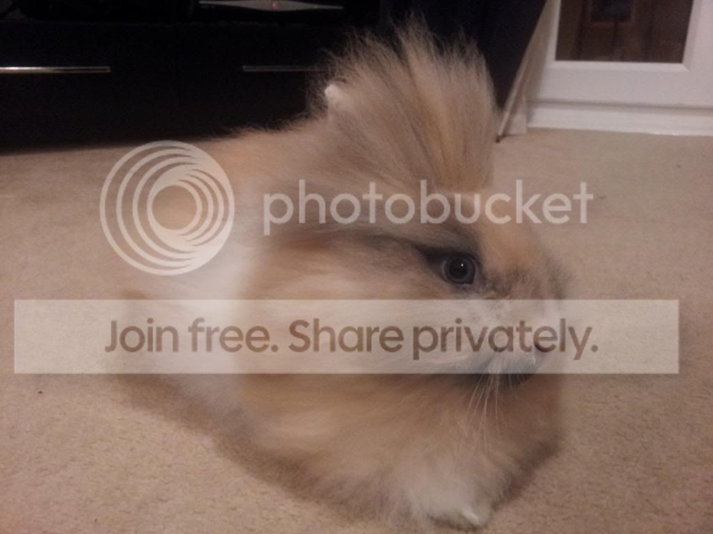  photo 20131021_212843.jpg