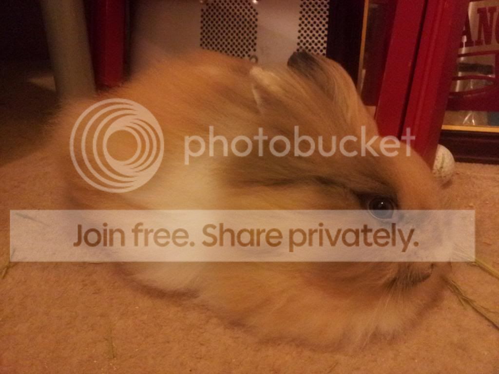  photo 20131021_213548.jpg